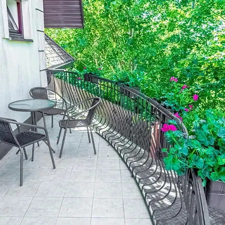 Amber Проживание в семье