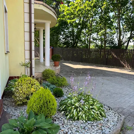 Amber Проживание в семье