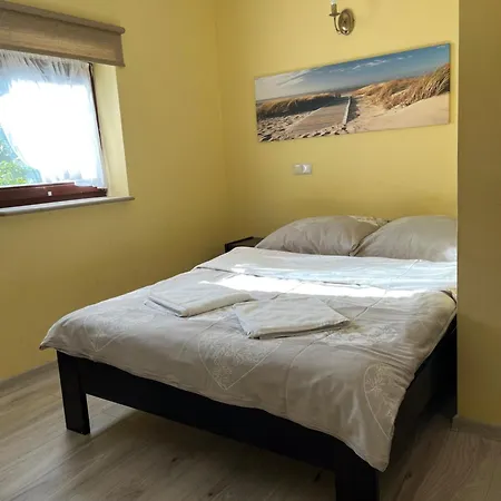 Amber Проживание в семье