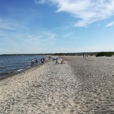 Проживание в семье Amber