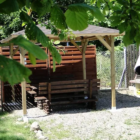 Amber Проживание в семье *